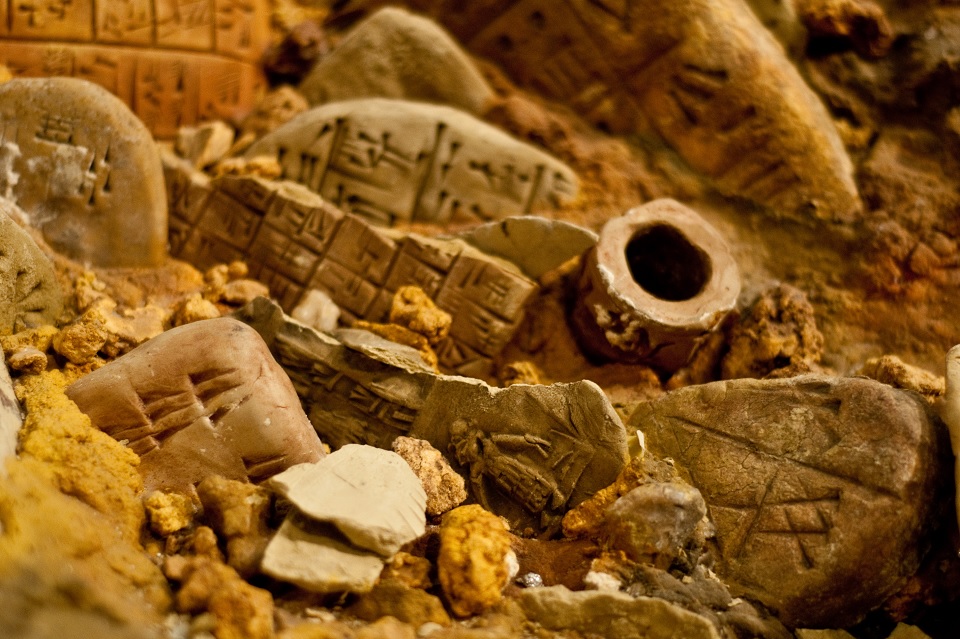 Dipartimento Arte, Cultura, Storia ed Archeologia
