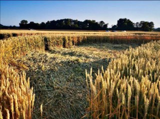 UFO e Crop Circle di Büren di luglio 2019