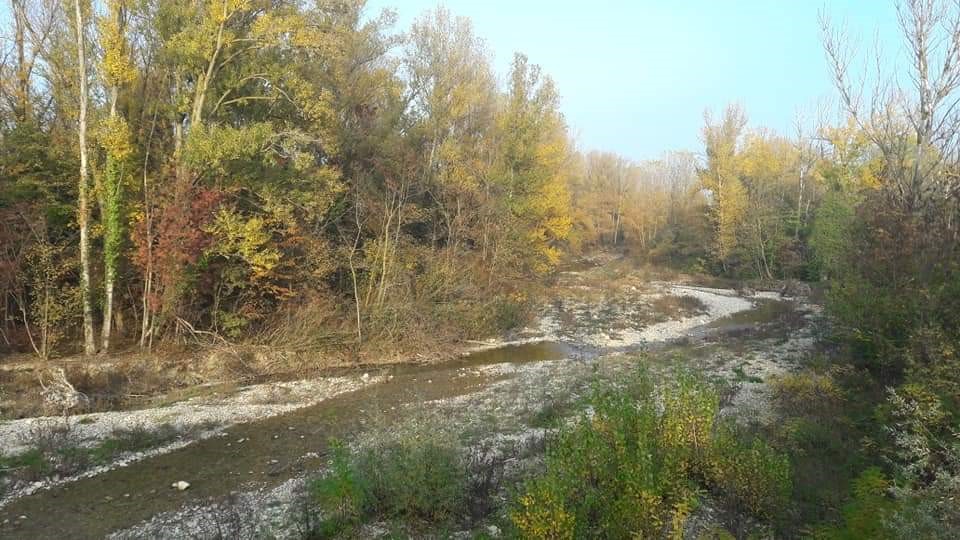 Fantasmi nei boschi di Vernasca