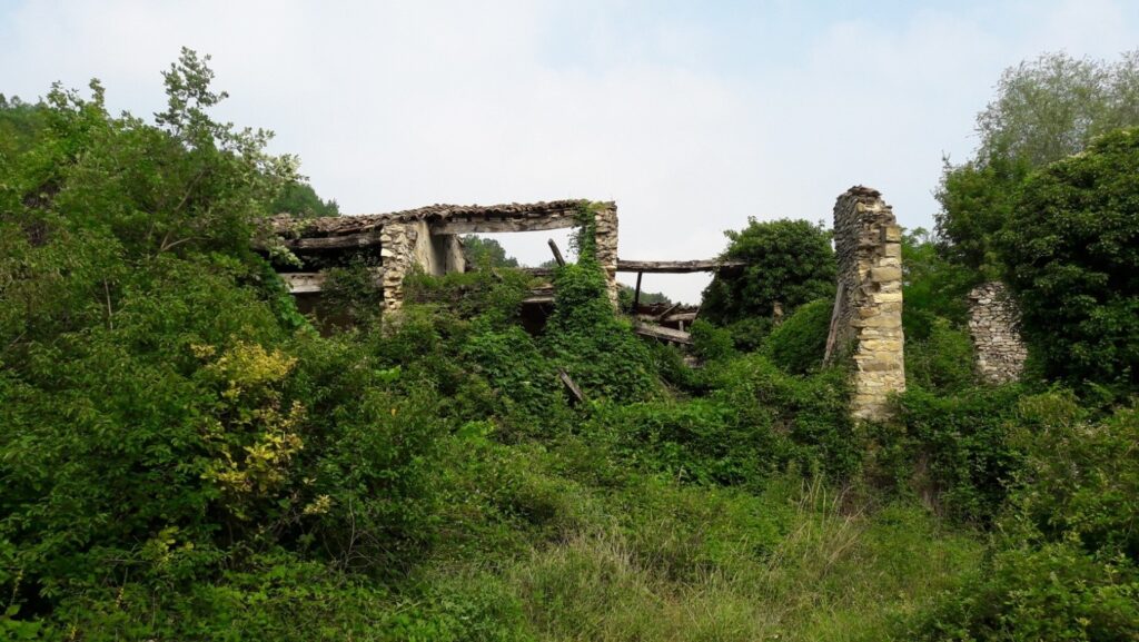 Fantasmi nei boschi di Vernasca