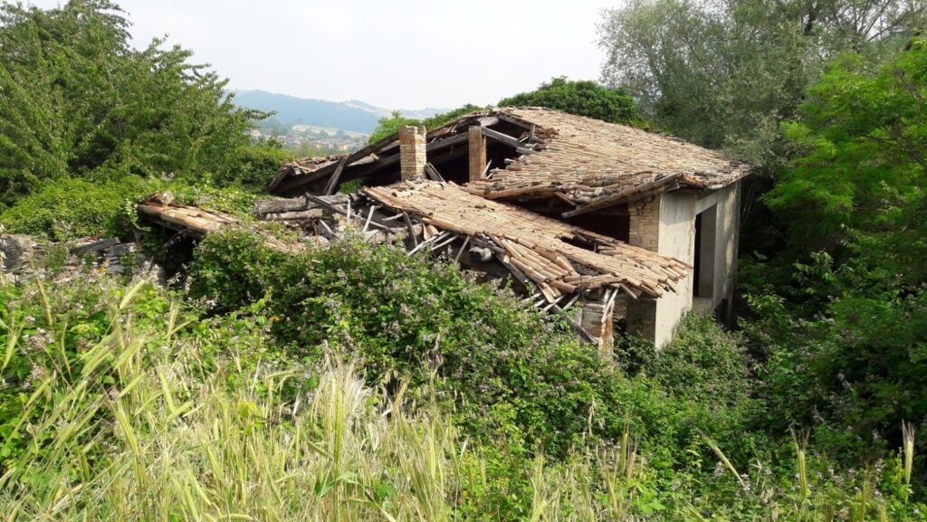 Fantasmi nei boschi di Vernasca