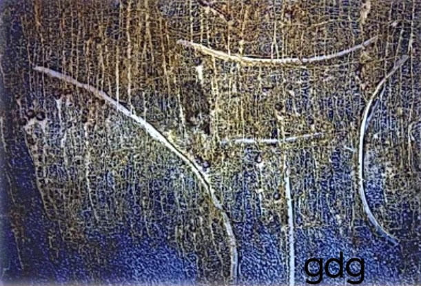 Opera artistica di Giordana Di Giacomo della collezione 2008 "Astratto Cosmico".